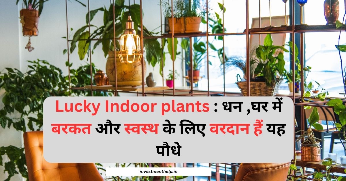 indoor plants