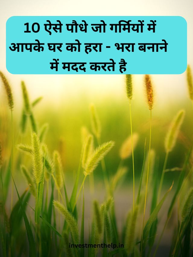 10 ऐसे पौधे जो गर्मियों में आपके घर को हरा – भरा बनाने में मदद करते है