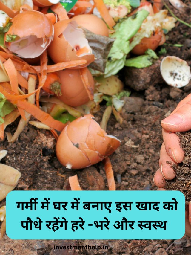 गर्मी में घर में बनाए इस खाद को पौधे रहेंगे हरे -भरे और स्वस्थ